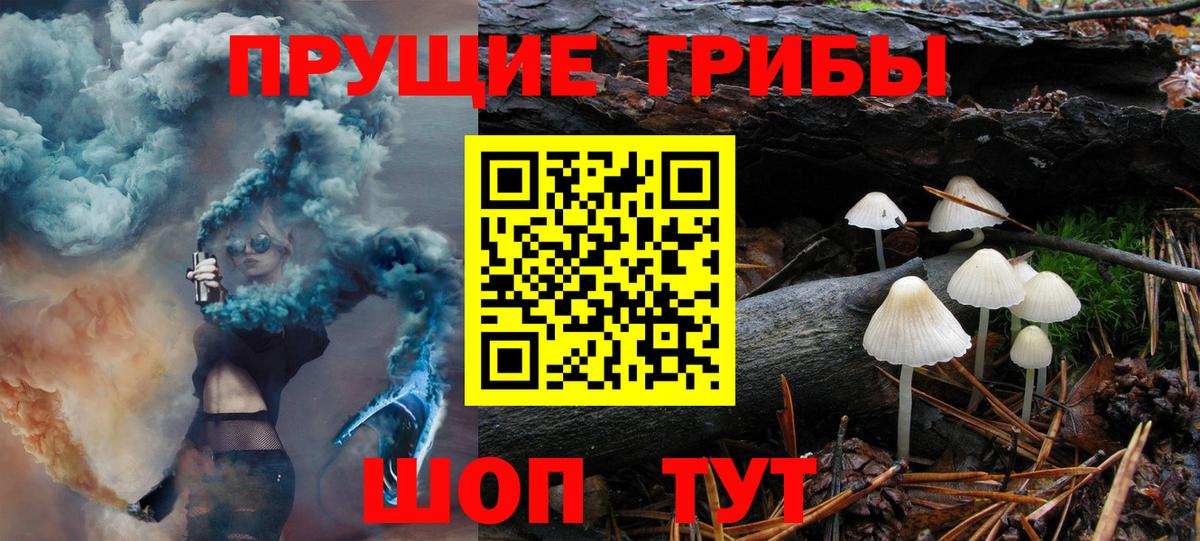 Галлюциногенные грибы Psilocybine cubensis  Вход с VPN  Калининград  Псилоцибиновые грибы мухоморы 